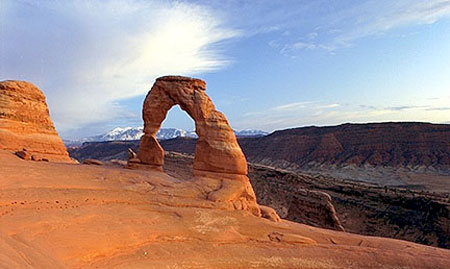 Delicatearch