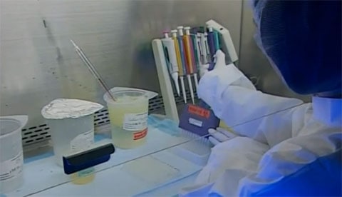 Vaccine