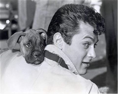 Tonycurtis Tonycurtis
