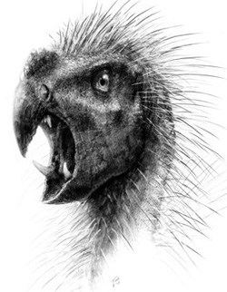 Dinosaur