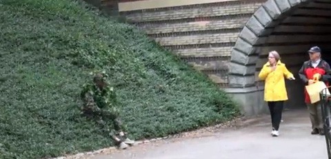 Bush