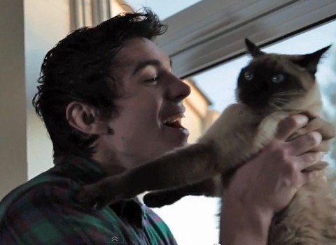Cat_grand