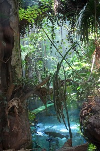 California_Academy_of_Sciences_rainforest_scene