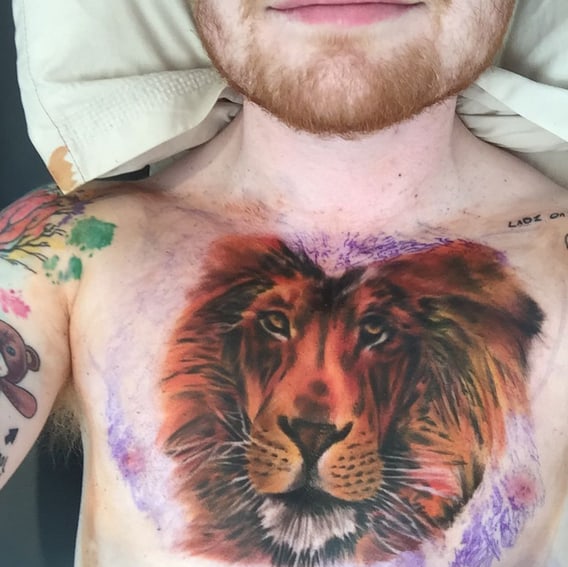 lion