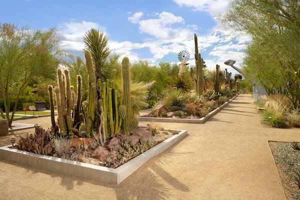 Recreation And Attractions Both Indoors And Outdoors Await You In Exhilarating Las Vegas 4 Springs Preserve.