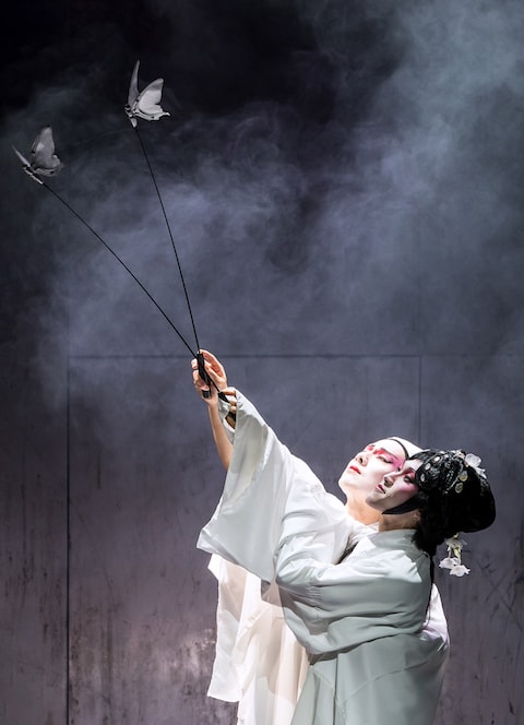 M butterfly