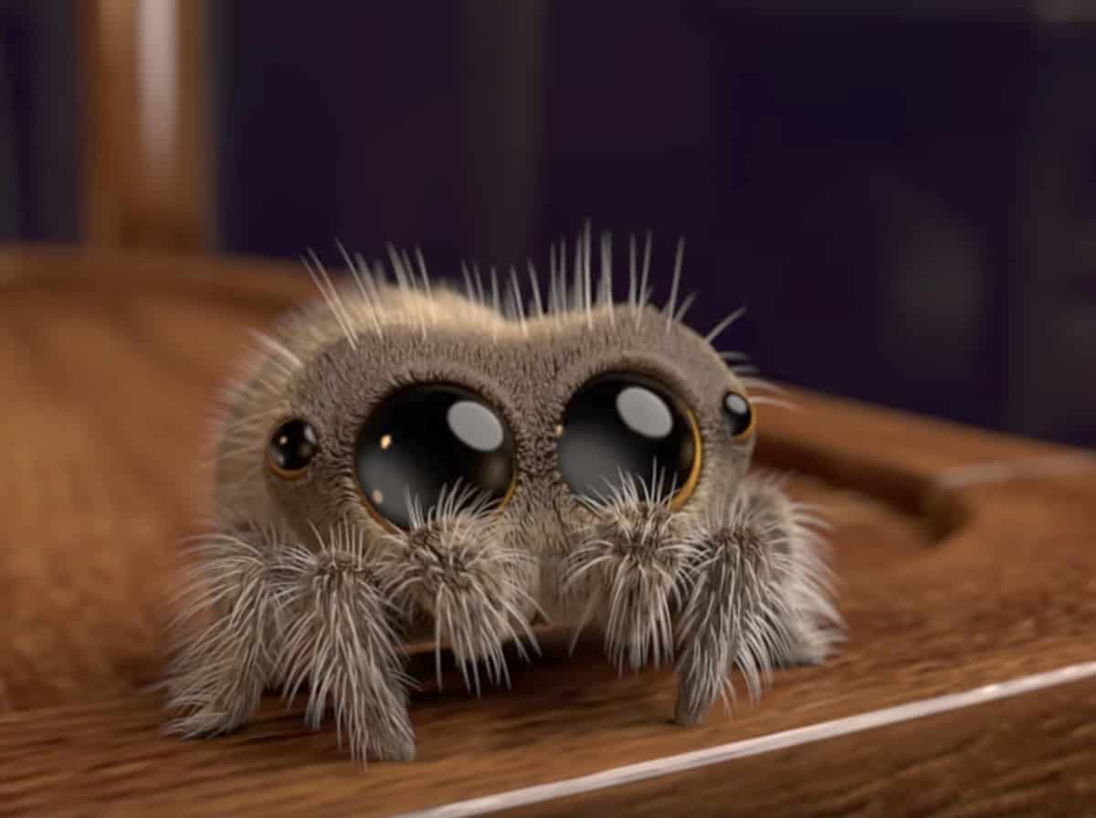 spider animation