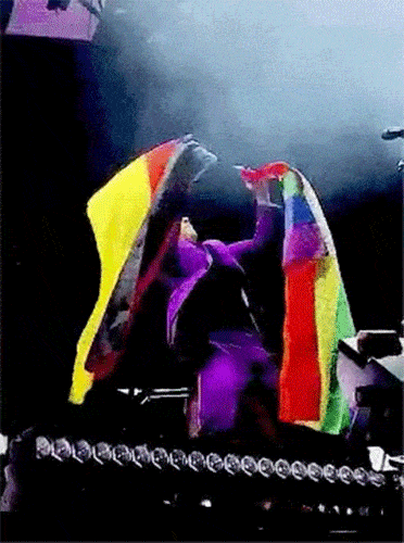 Harry Styles erection