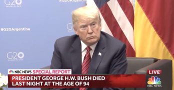 Trump Bush