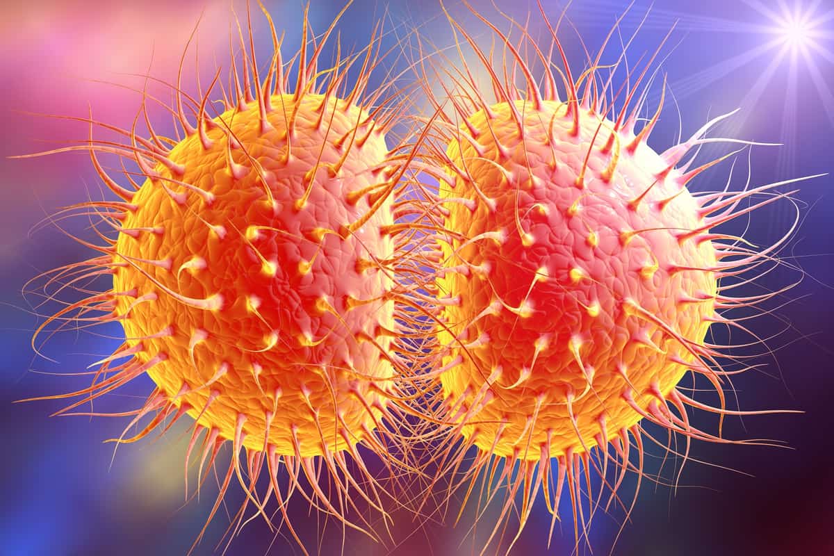 Super Gonorrhoea