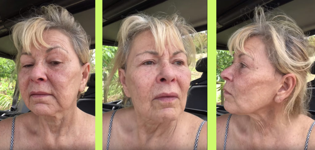 Roseanne Barr queer