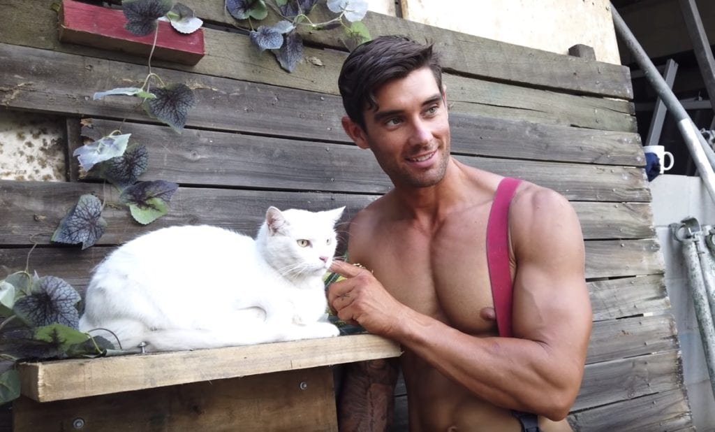 Hunky Australian Firefighters Pose With Rescue Cats For A Purrfect 2020 Calendar: Watch 1 firefighters