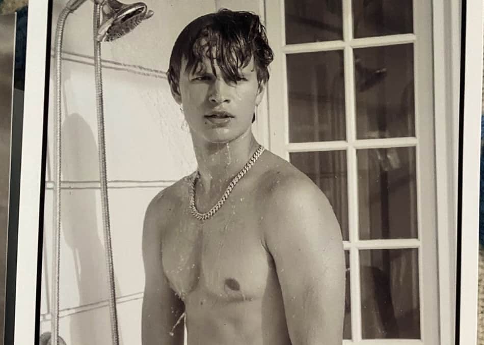 elgort
