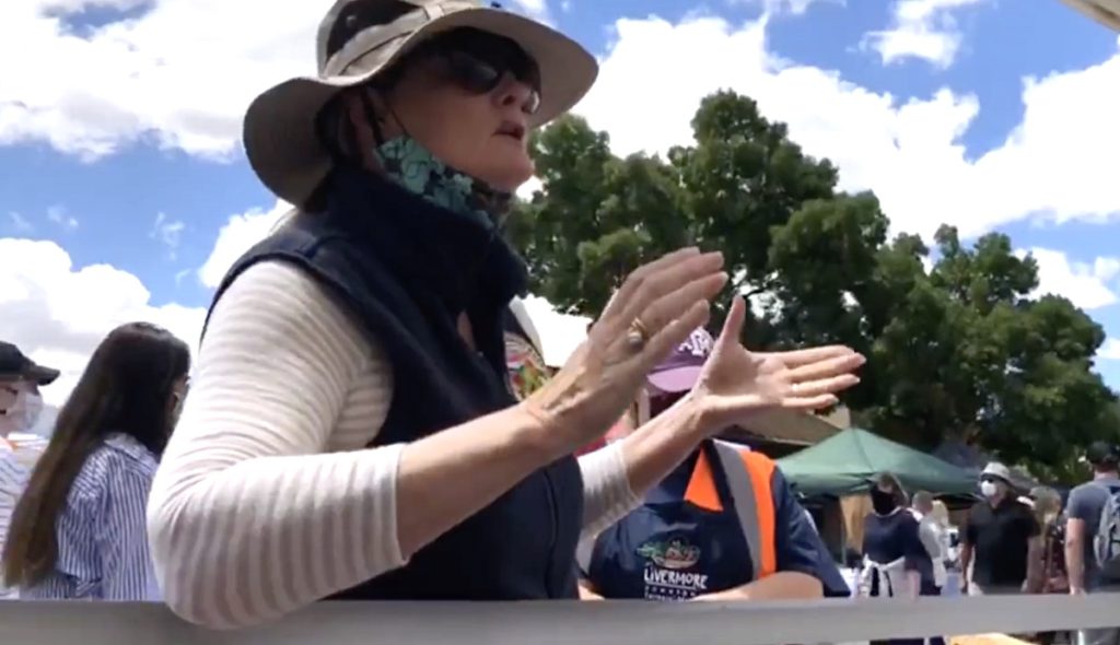 Farmer'S Market 'Karen' Attacks Gay Cookie Vendor For Handing Out Pride Flags: Watch 1 farmers market karen gail hayden