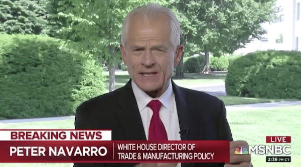 Navarro: China 'Spawned' Covid-19 In A Lab, Then Sent Infected People To 'Seed' The U.s. (Watch) 1 Navarro.Peter
