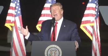 trump rig election