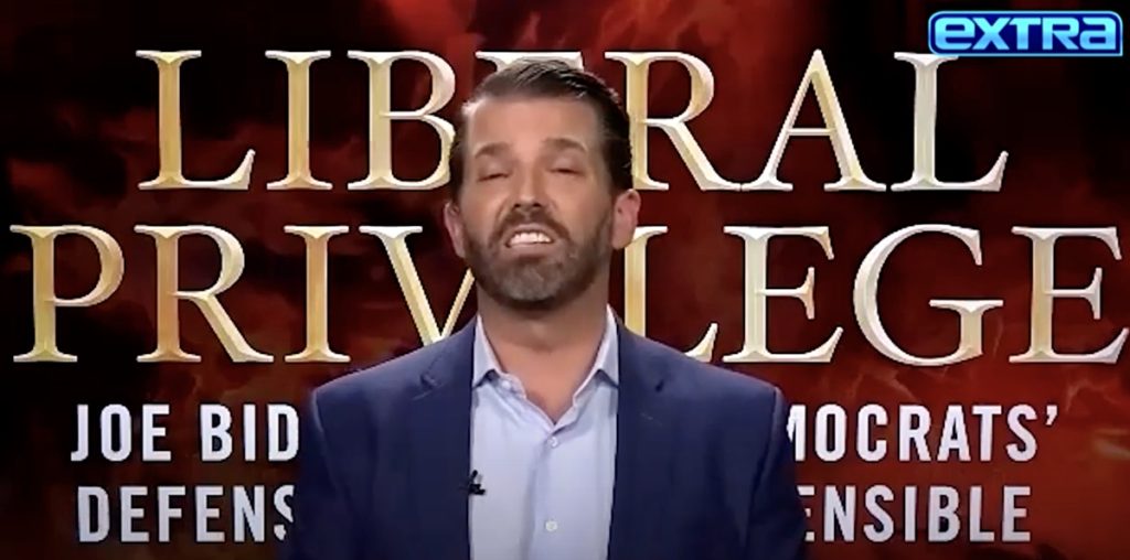Donald Trump Jr. Defends Kenosha Terrorist Kyle Rittenhouse: 'We All Do Stupid Things At 17' — Watch 1 Donald Trump Jr