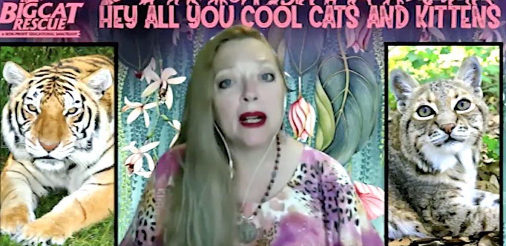 Tiger King'S Carole Baskin Comes Out As Bisexual: Watch 1 carole baskin bisexual