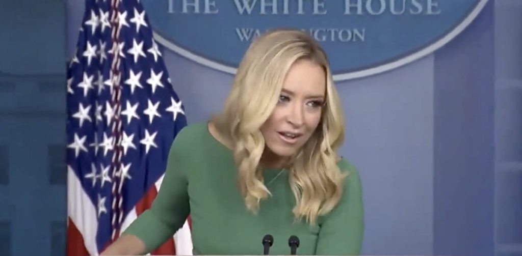 Kayleigh Mcenany To Cnn Reporter Kaitlan Collins: 'I Don'T Call On Activists' — Watch 1 Kayleigh McEnany Kaitlan Collins