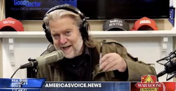 steve bannon fauci