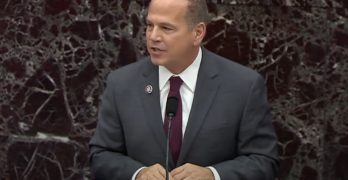David Cicilline