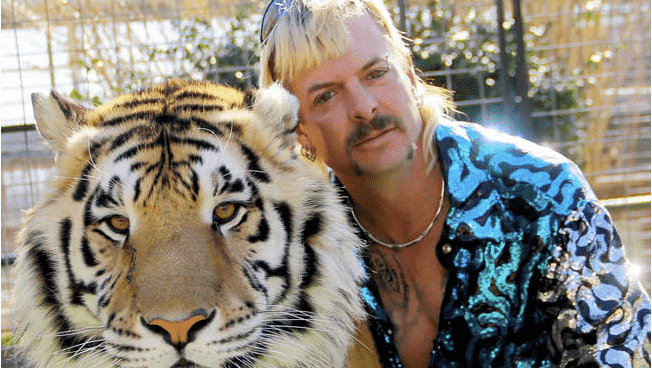 exotic joe