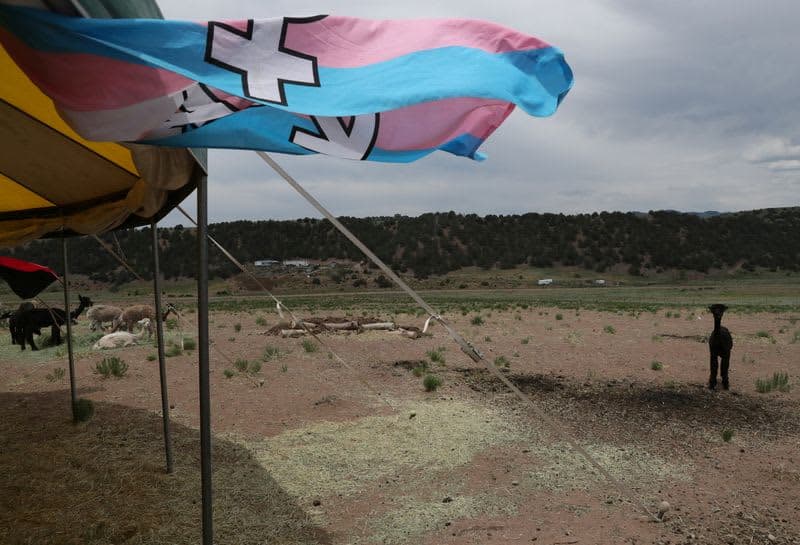 When A Trans Haven Got Violent Threats, The Residents Of 'Tenacious Unicorn Ranch,' Felt The Police Could Not Be Trusted To Help. Then What? 6 460066 460066 origin 1 5