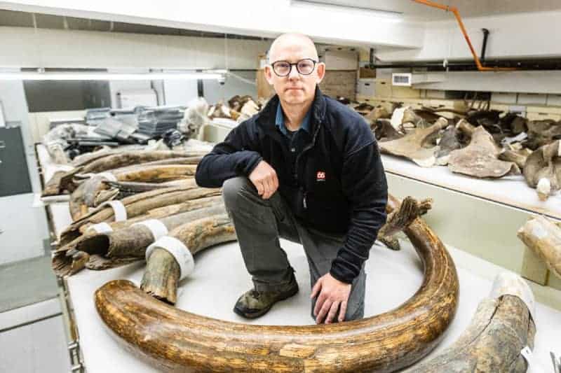 In The Footsteps Of A Woolly Mammoth, 17,000 Years Ago 1 461790 origin 1