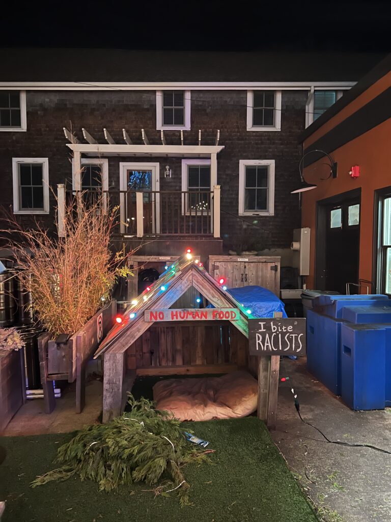 11 AdditionalPtownComeSeeTheLights