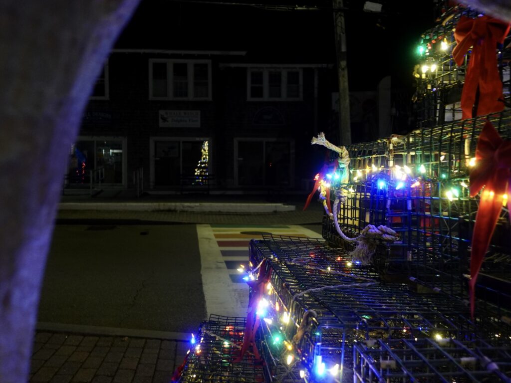 17 EvenMorepossiblePtownComeSeeTheLights