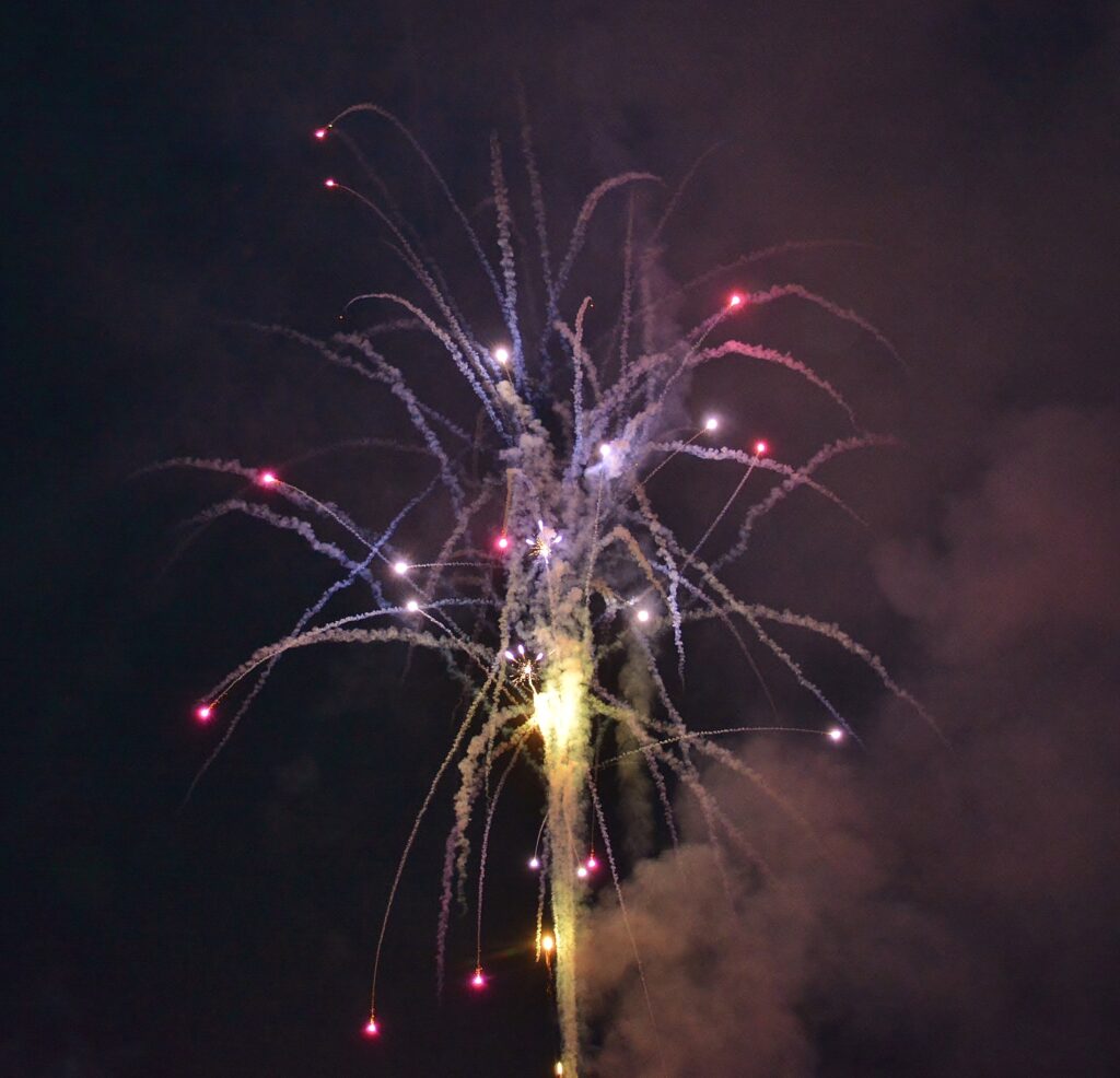 DSC 4960