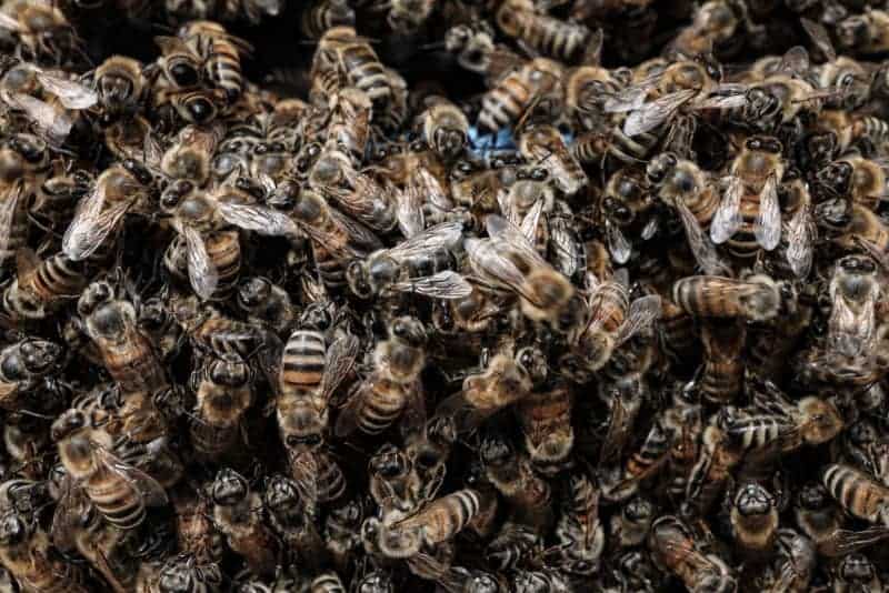 The Week In Pictures: May 13 - May 20 30 522834 522834 origin 1 29