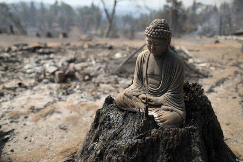 Firefighters Start To Contain Raging California Wildfire Near Yosemite 2 606319 606319 origin 1 1