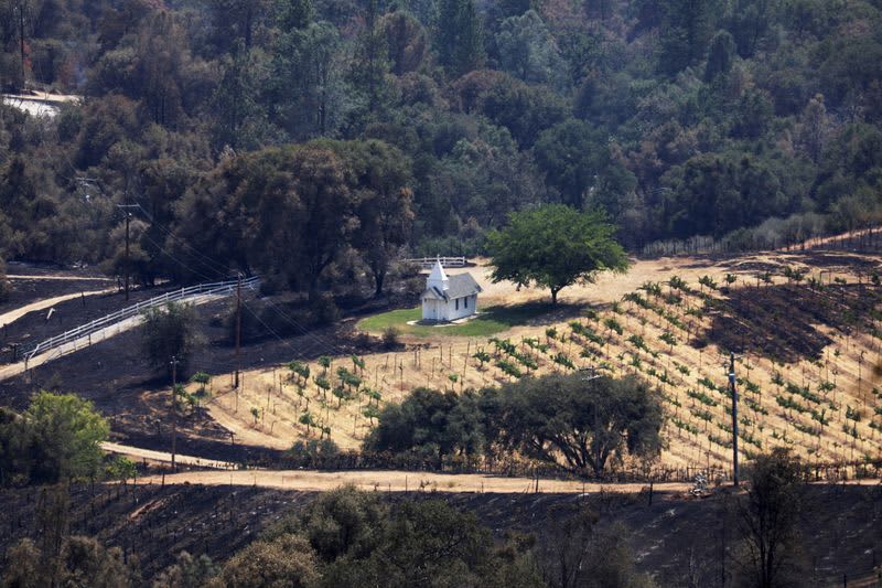 Firefighters Start To Contain Raging California Wildfire Near Yosemite 5 606319 606319 origin 1 4