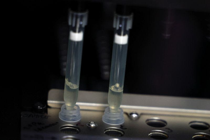 Spain Reports Second Monkeypox-Related Death In Europe 1 629147 origin 1