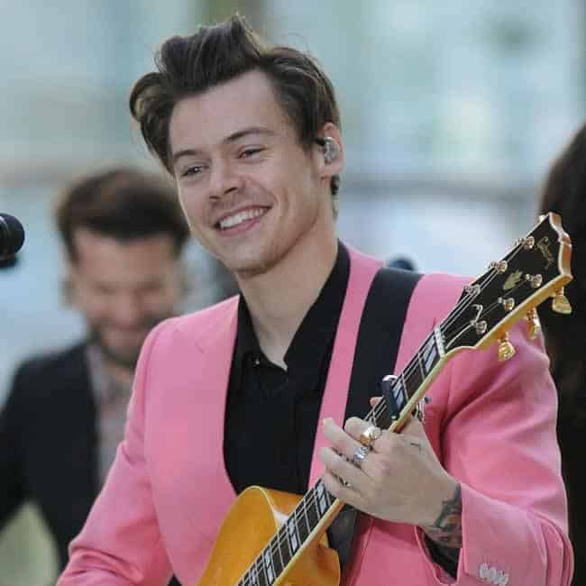Harry Styles Assists Fan With Proposal At Lisbon Show 1 634426 origin 1