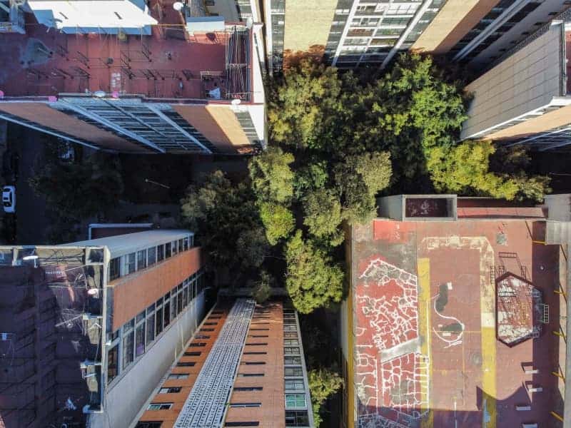 Americans Are Flooding Mexico City. Some Locals Want Them To Go Home 1 637347 origin 1