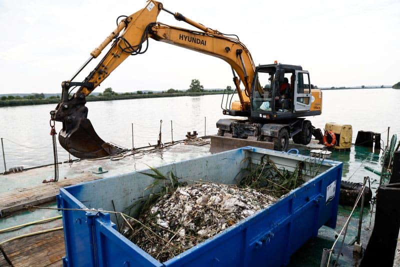 Fear For Future After Mass Die-Off Of Fish In Poland'S Oder River 5 637615 637615 origin 1 4
